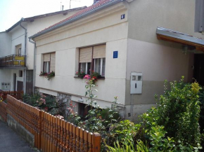 Apartments with WiFi Daruvar, Bjelovarska - 17093